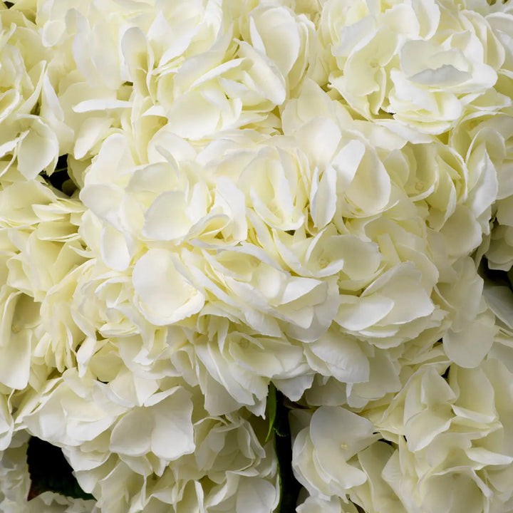 Bouquet Of Hydrangeas White Tones Real Touch 48 Pcs/2 Varieties - image 2