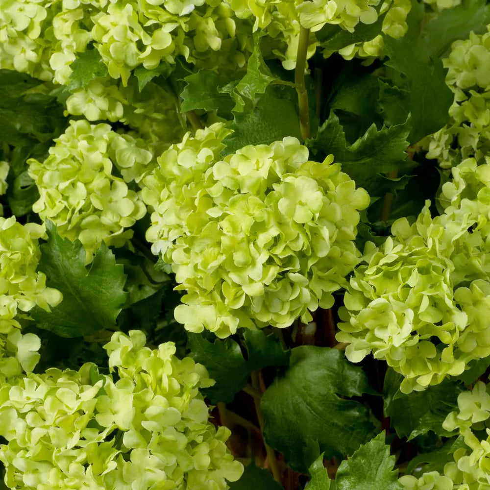 Bouquet Of Hydrangeas Snowball Green Real Touch 36 Pcs - image 2