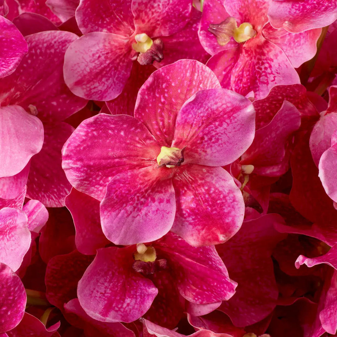 Bouquet Of Vanda Orchids Pink Real Touch 24 Pcs - image 2
