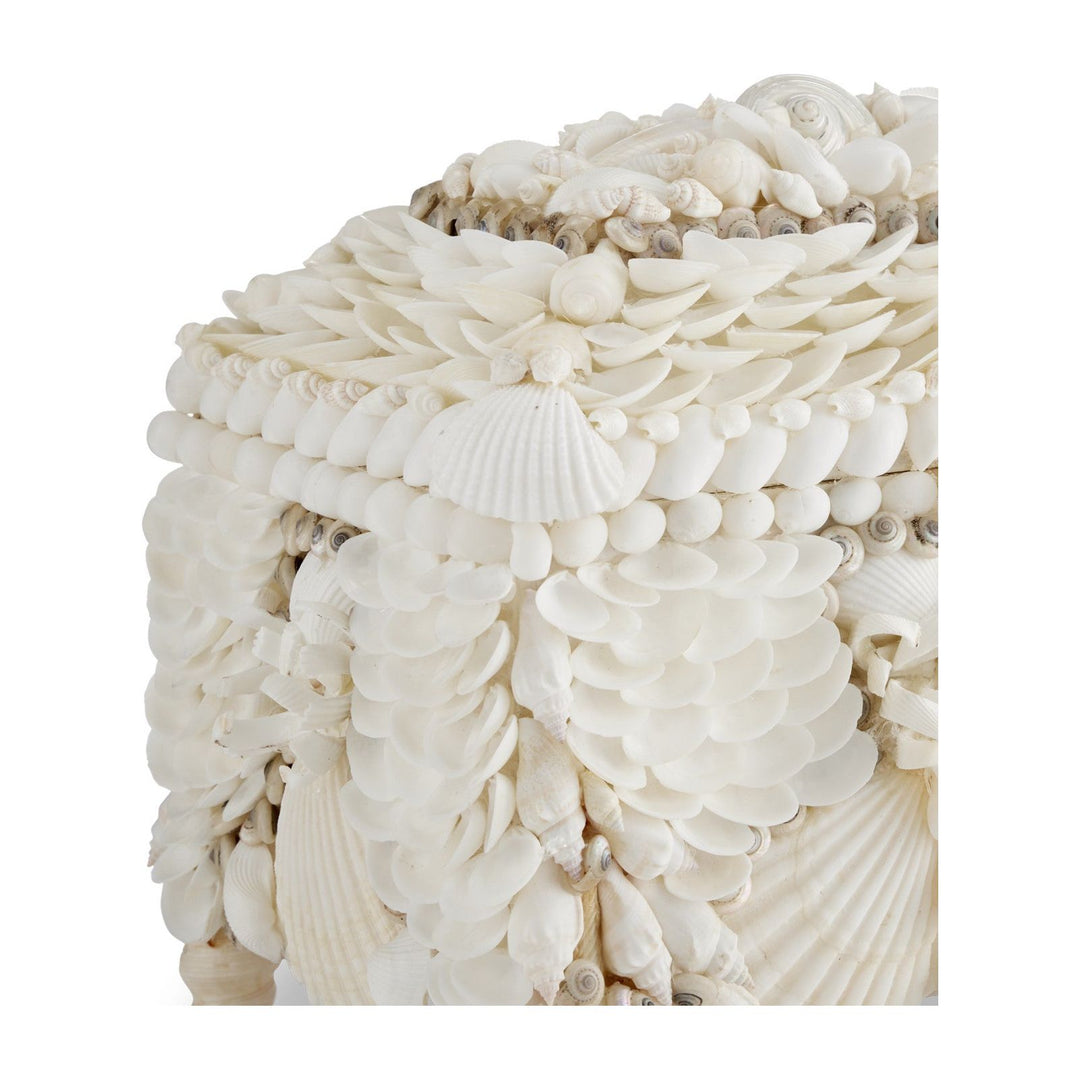 Boardwalk White Shell Jewelry Box