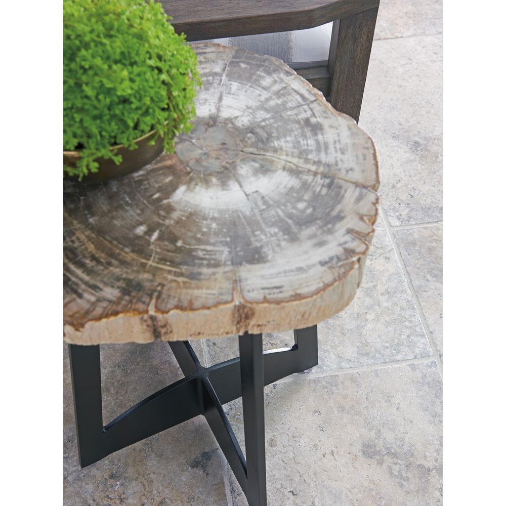 Outdoor Side Tables Petrified Wood Table - Dark Brown