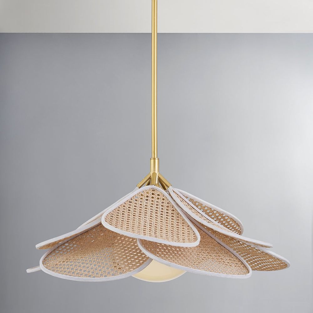 Pendants Florina 1 Light Pendant