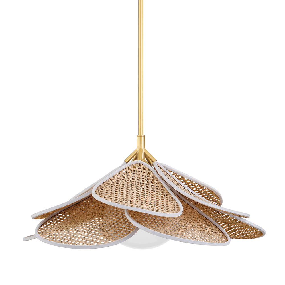 Pendants Florina 1 Light Pendant