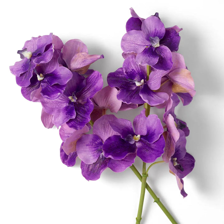 Bouquet Of Vanda Orchids Purple Real Touch 24 Pcs - image 3