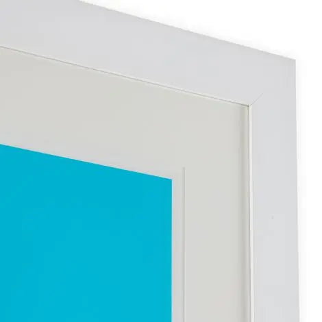 Print Silkscreen From Boissière Ii By Henri Boissière - image 3