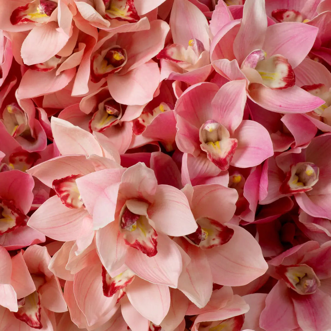 Bouquet Of Cymbidium Orchids Pink And Peach Tones Real Touch 36 Pcs/2Varieties - image 3