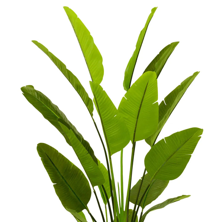 Artificial Plant Strelitzia L Green - image 3