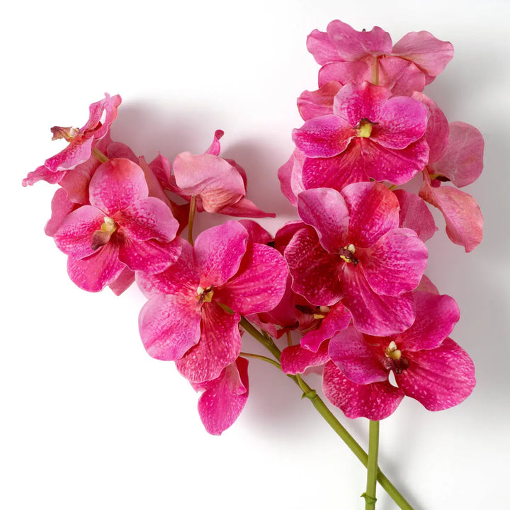Bouquet Of Vanda Orchids Pink Real Touch 24 Pcs - image 3