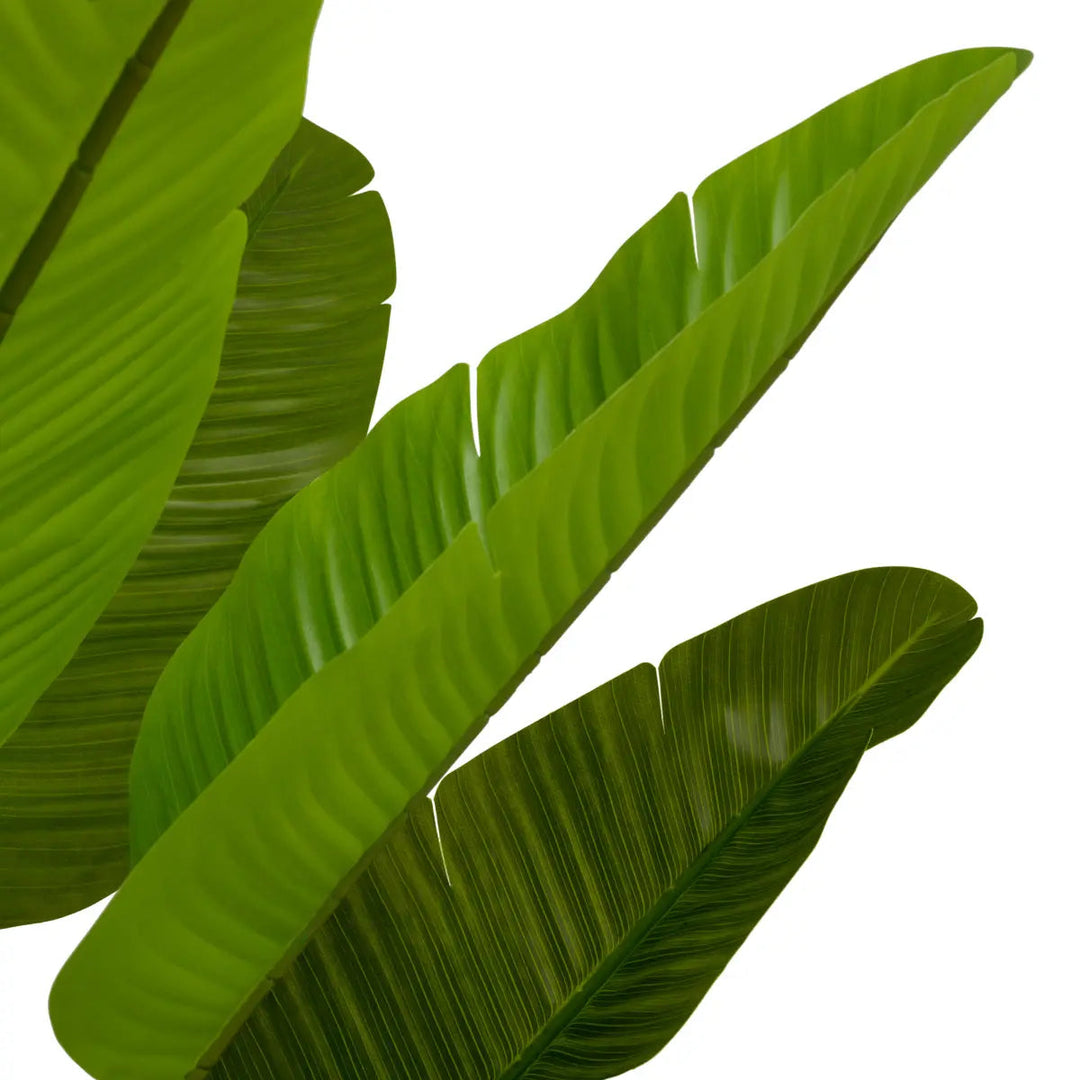 Artificial Plant Strelitzia M Green - image 3