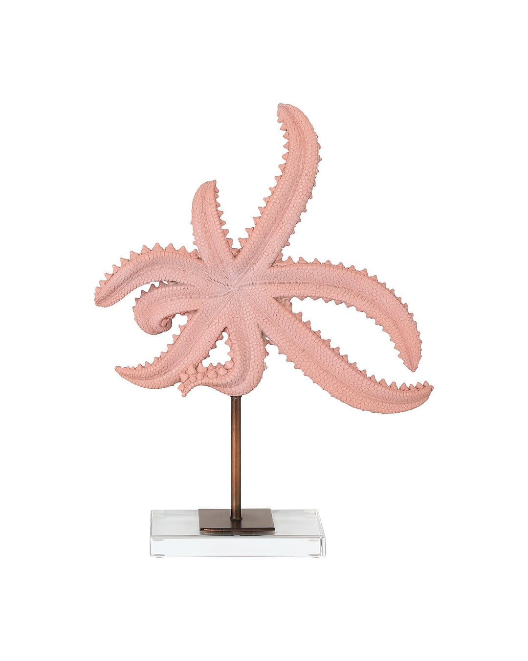 Decorative Objects Starfish Set of 2