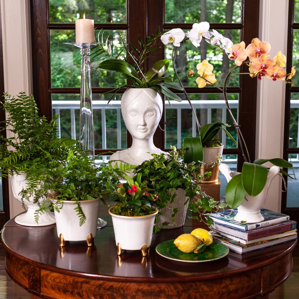 Indoor Planters Large White Cachepot Set of 2