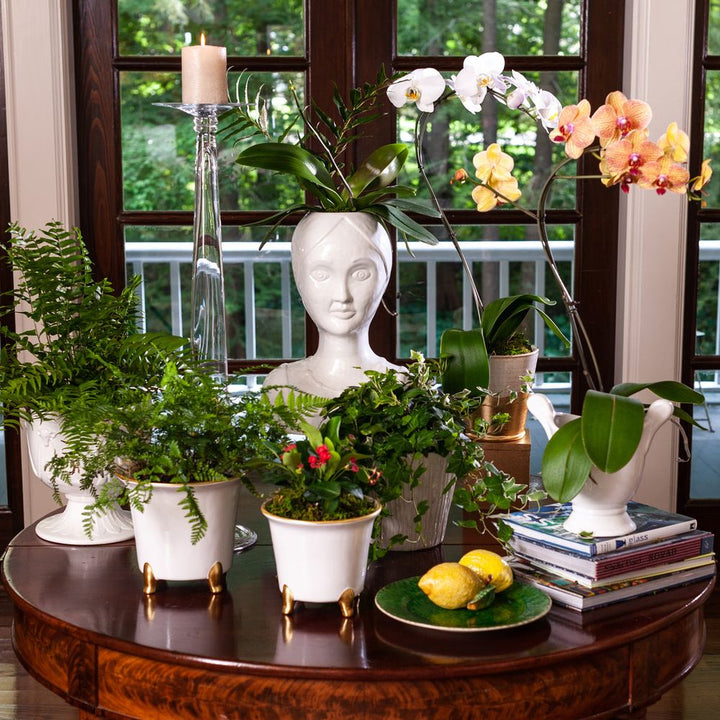 Indoor Planters Large White Cachepot Set of 2