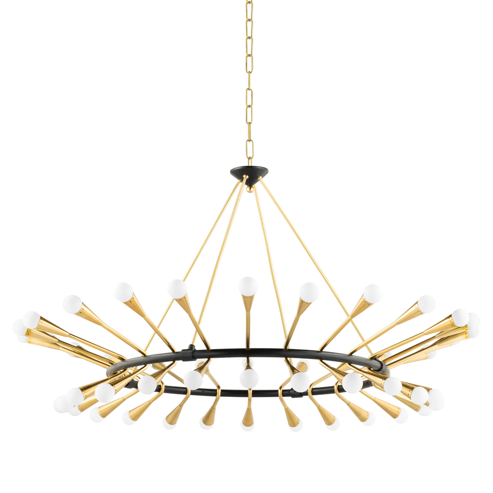 Chandeliers Aries Chandelier - Vintage Polished Brass/Black Brass 48 Lights