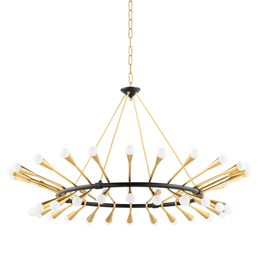 Chandeliers Aries Chandelier - Vintage Polished Brass/Black Brass 48 Lights