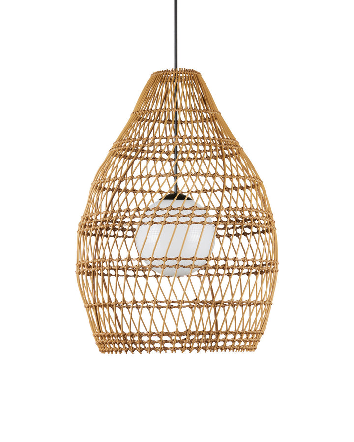 Outdoor Lighting: Ceiling Fishtrap Outdoor Pendant