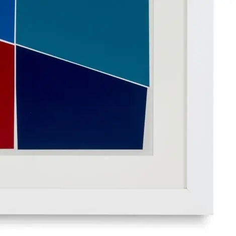 Print Silkscreen From Boissière Ii By Henri Boissière - image 4