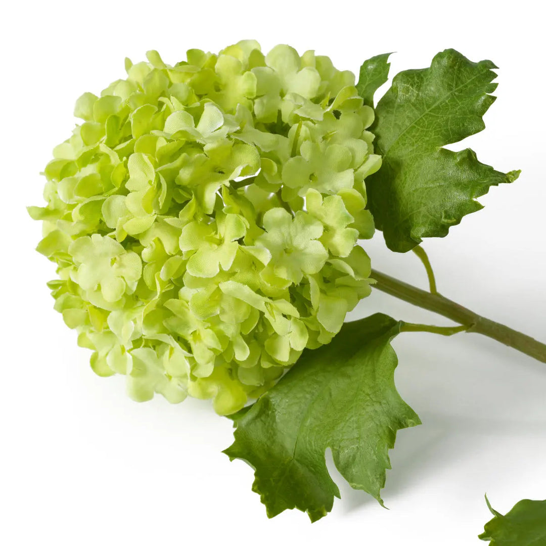 Bouquet Of Hydrangeas Snowball Green Real Touch 36 Pcs - image 4