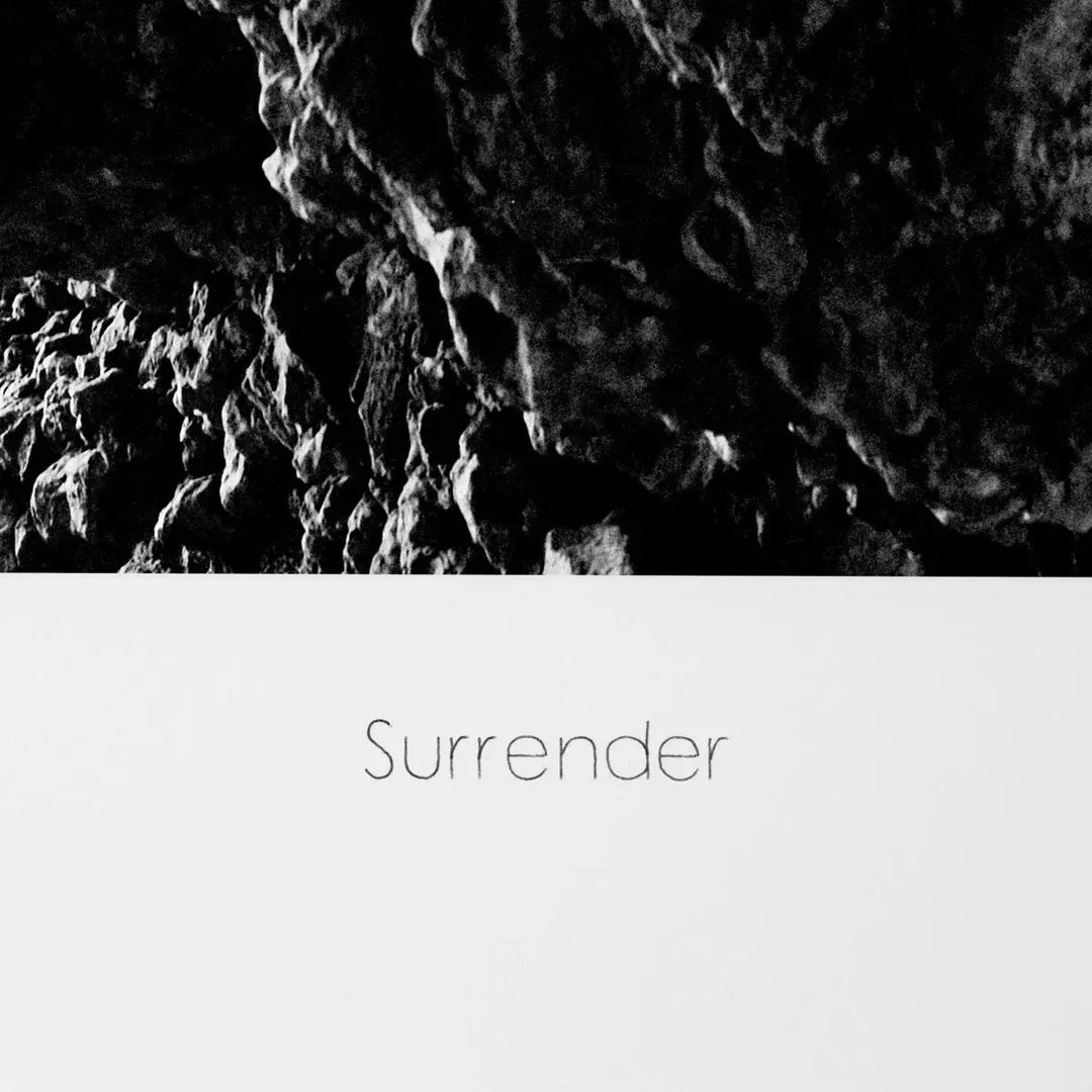 Print Philippe Vogelenzang - Surrender - image 4