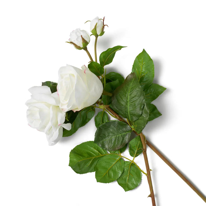 Bouquet Of Roses Two Tone White Real Touch 72 Pcs/2 Varieties - image 4