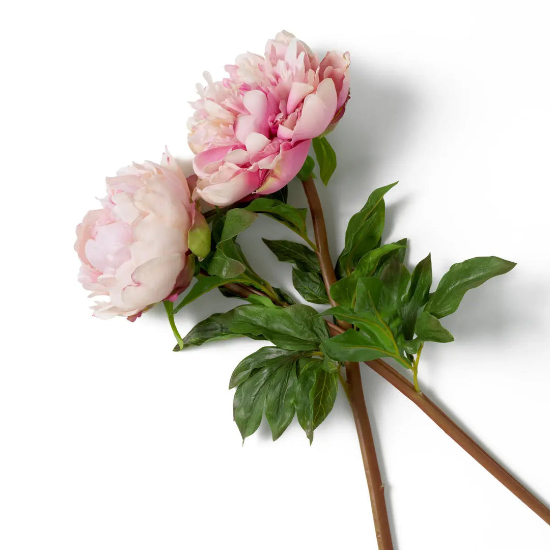 Bouquet Of Peonies Pink Tones Real Touch 48 Pcs/2 Varieties - image 4