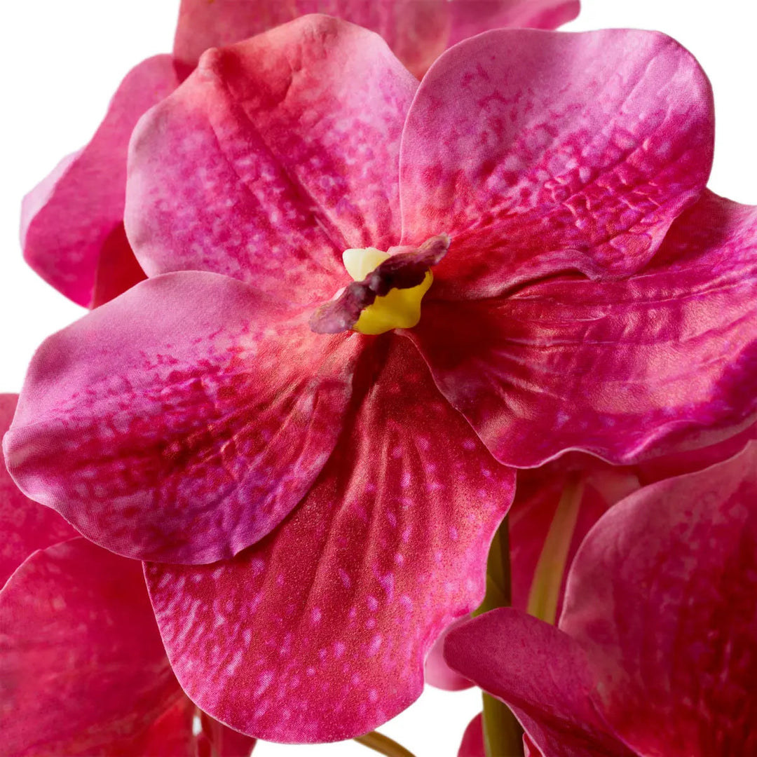 Bouquet Of Vanda Orchids Pink Real Touch 24 Pcs - image 4