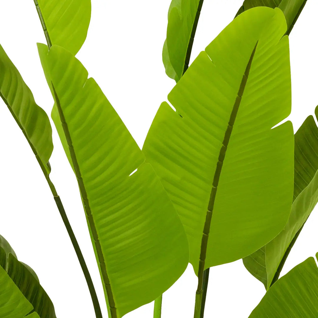 Artificial Plant Strelitzia L Green - image 4