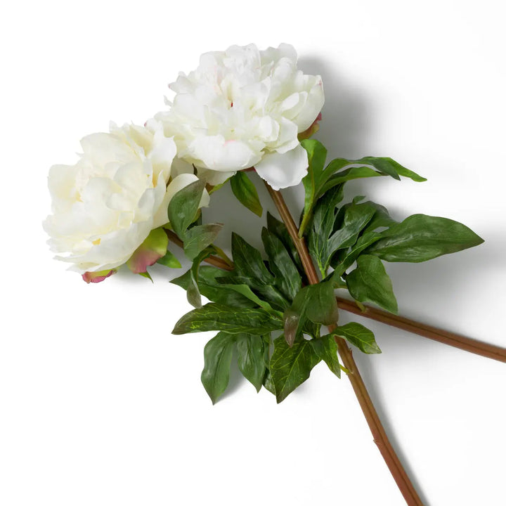 Bouquet Of Peonies White Tones Real Touch 48 Pcs/2 Varieties - image 4