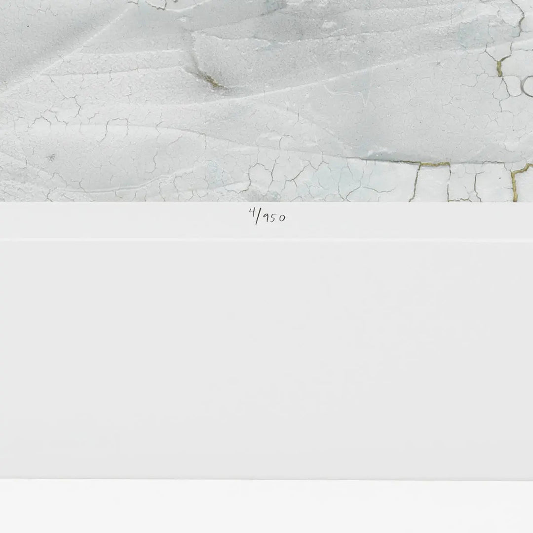 Print Rift Valley By Vanna Lam Set Of 2 - image 4