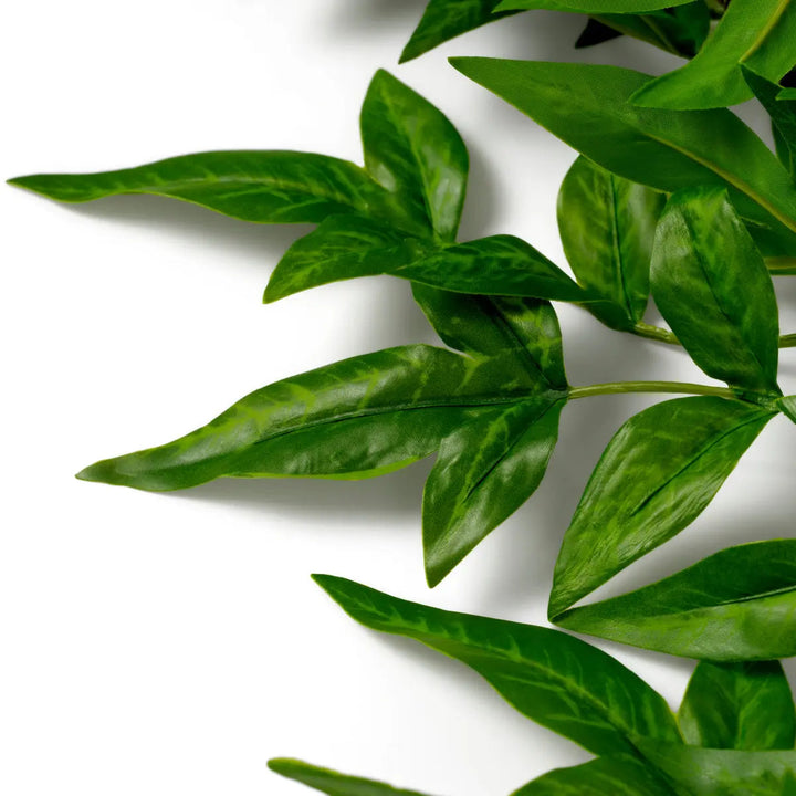 Bundle Of Tender Leaves 36 Pcs - image 4
