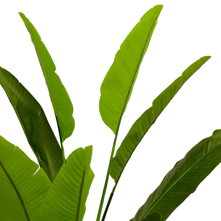 Artificial Plant Strelitzia M Green - image 4