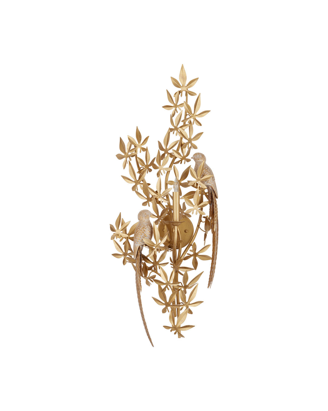 Aviary Gold Wall Sconce
