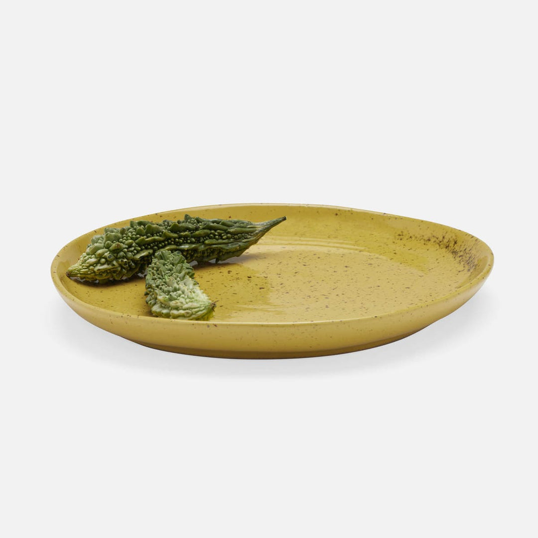 Marcus Chartreuse Salt Glaze Dinner Plate Stoneware Pack/4