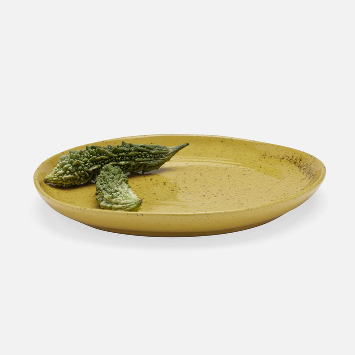 Marcus Chartreuse Salt Glaze Dinner Plate Stoneware Pack/4