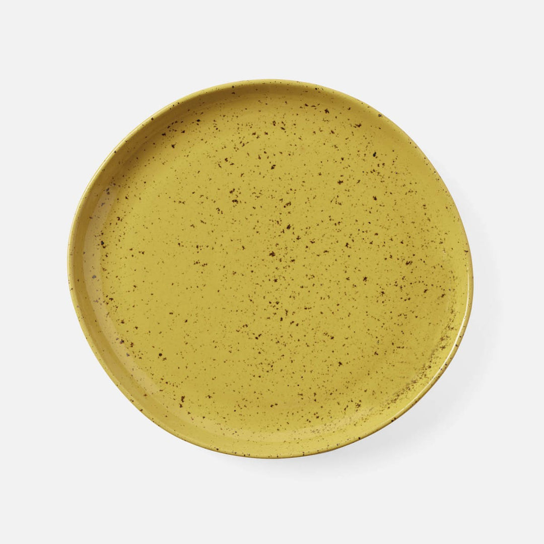 Marcus Chartreuse Salt Glaze Dinner Plate Stoneware Pack/4