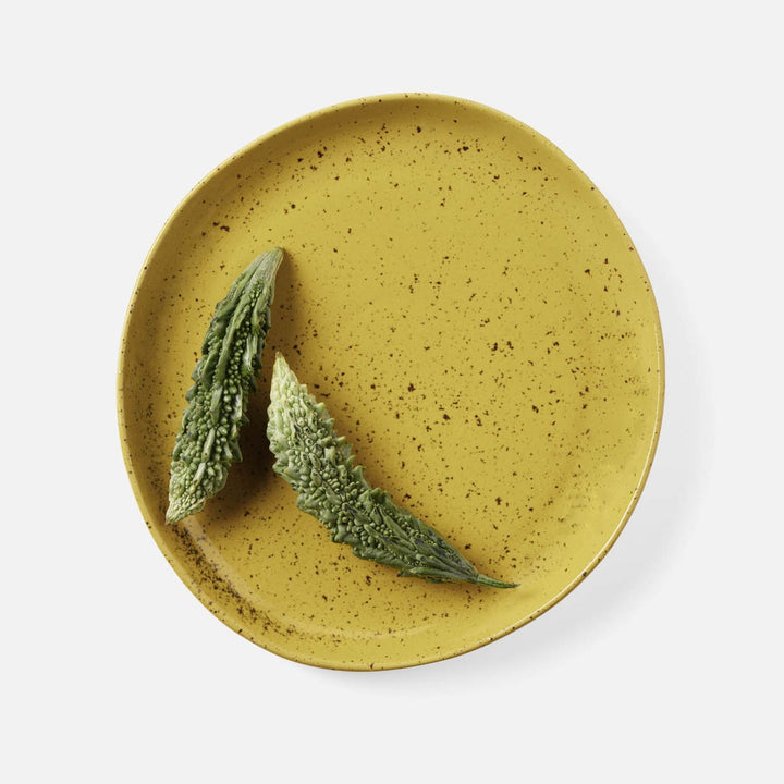 Marcus Chartreuse Salt Glaze Dinner Plate Stoneware Pack/4