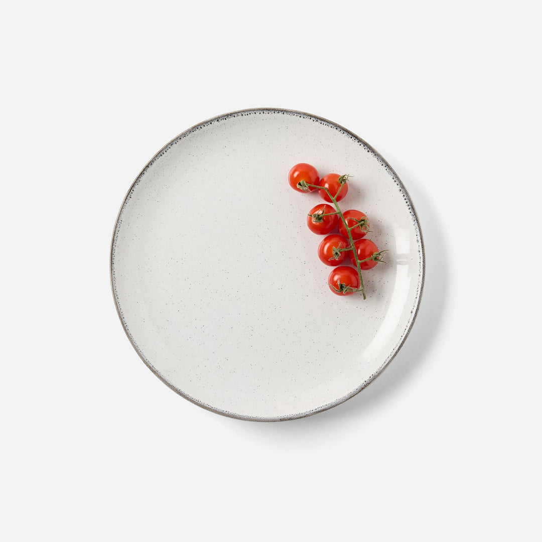 Tessa Gray Speckle Dinner Plate Stoneware Pack/4