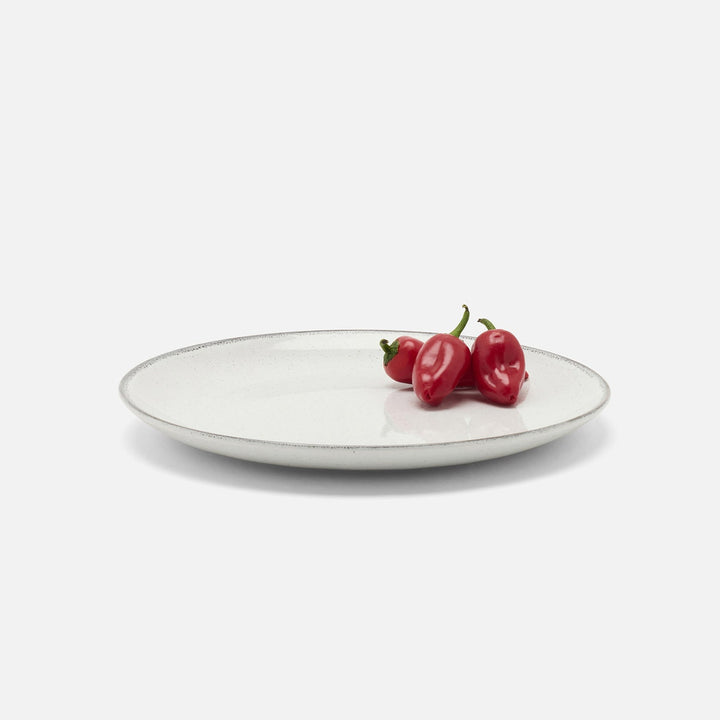 Tessa Gray Speckle Dinner Plate Stoneware Pack/4