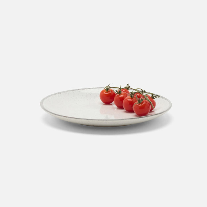 Tessa Gray Speckle Salad/Dessert Plate Stoneware Pack/4