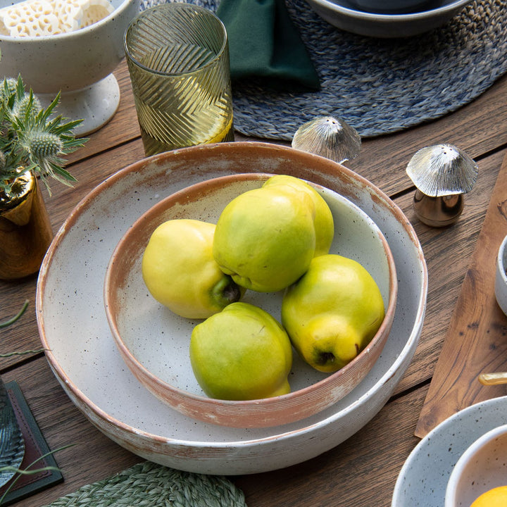 Dawson Small Rustic White Round Serving Bowl Pack/2
