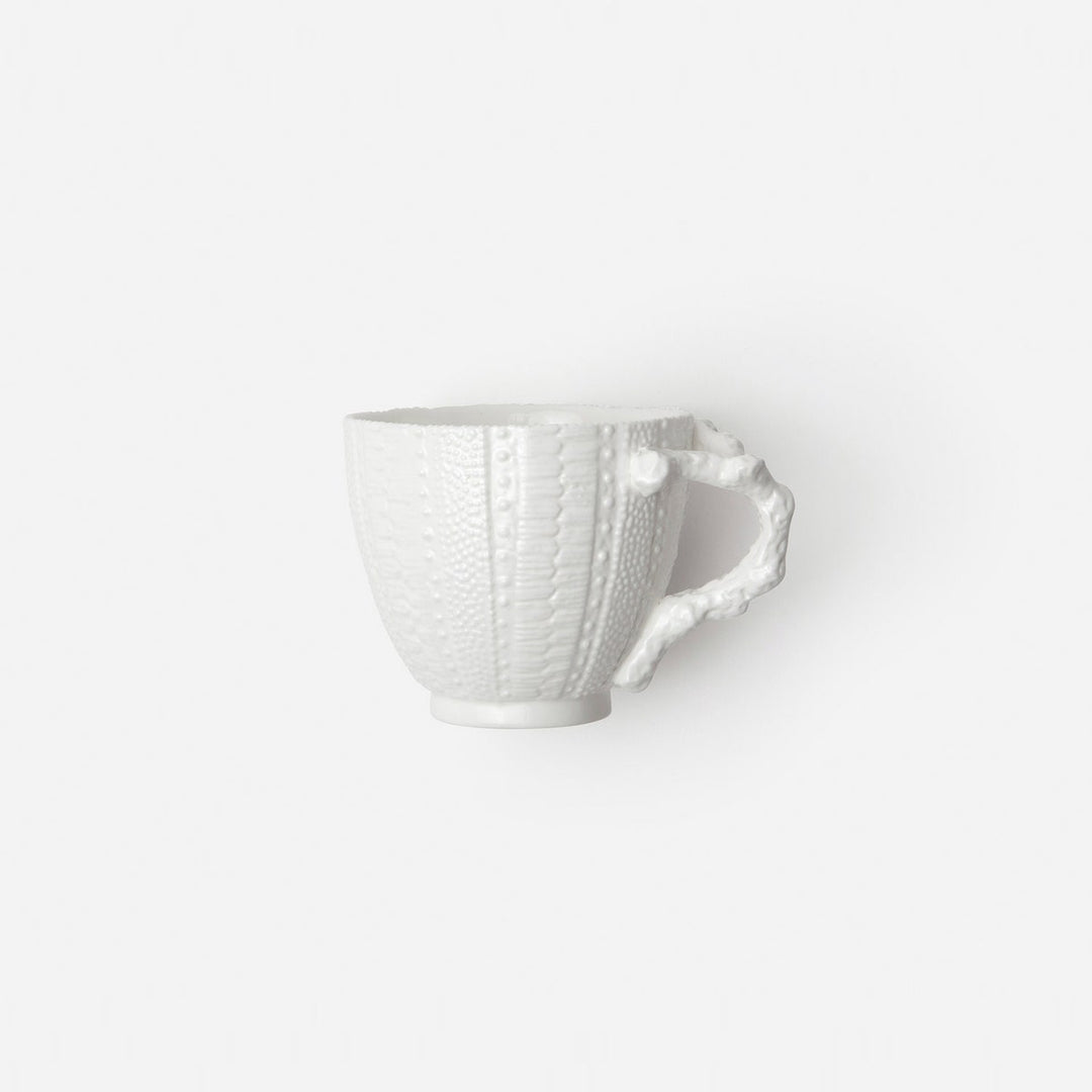 Marina White Sea Urchin Cup/Saucer Pack/4 Porcelain