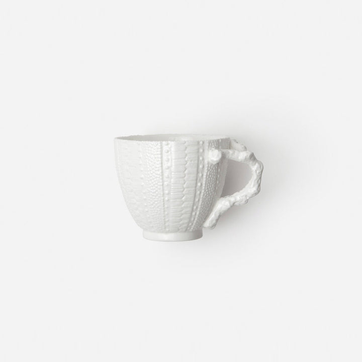 Marina White Sea Urchin Cup/Saucer Pack/4 Porcelain