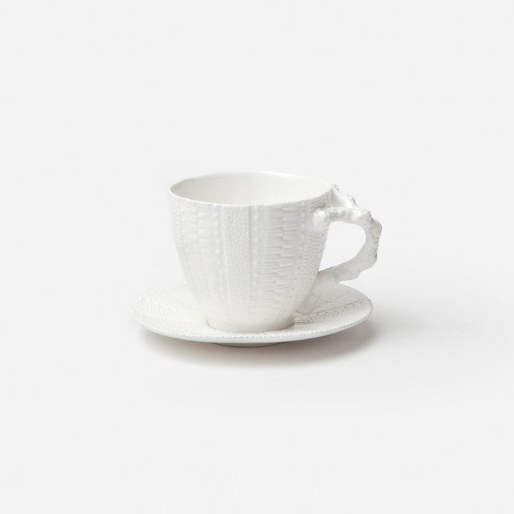 Marina White Sea Urchin Cup/Saucer Pack/4 Porcelain