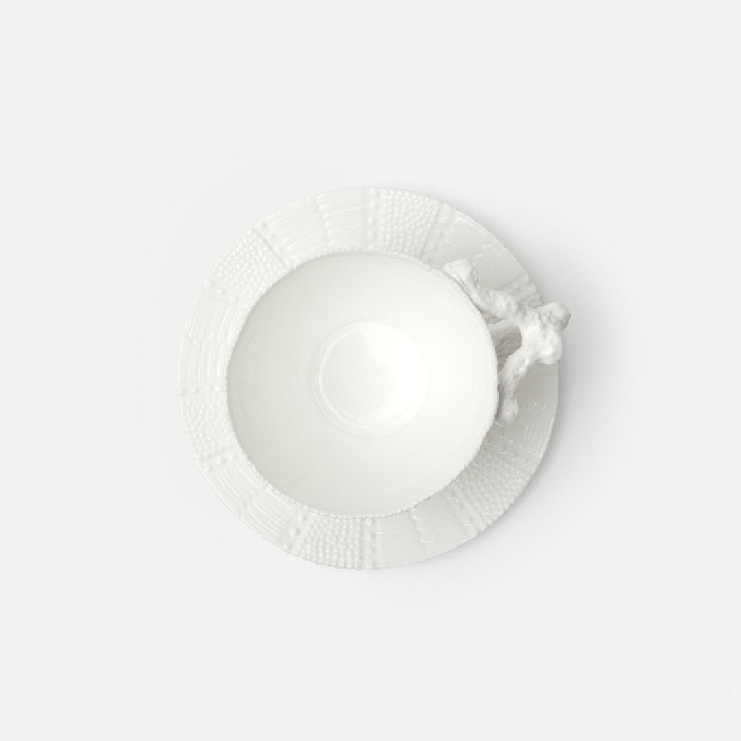 Marina White Sea Urchin Cup/Saucer Pack/4 Porcelain