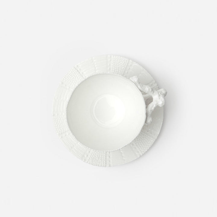 Marina White Sea Urchin Cup/Saucer Pack/4 Porcelain