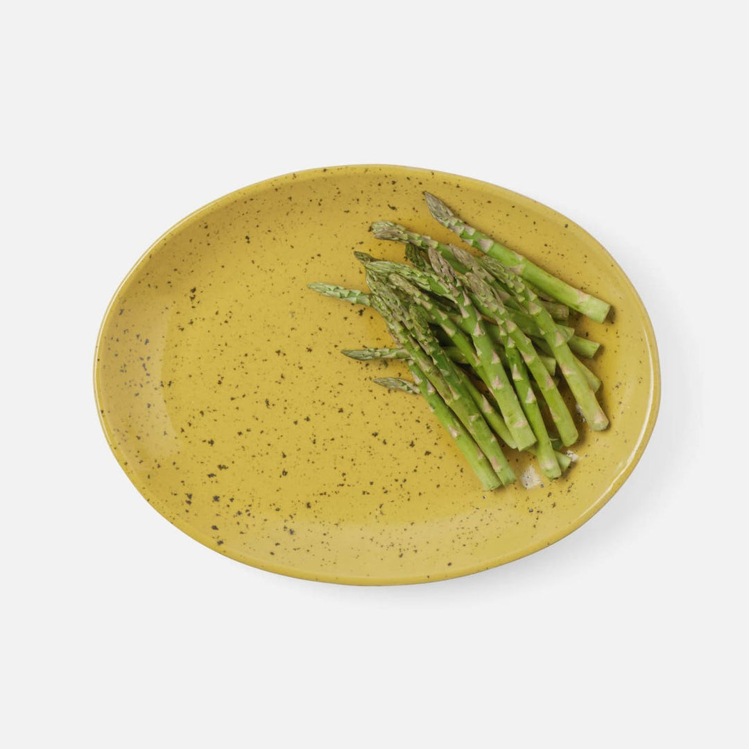 Marcus Chartreuse Salt Glaze Oval Serving Platter Stoneware Large Pack/2