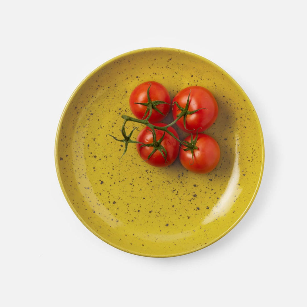 Marcus Chartreuse Salt Glaze Round Serving Platter Stoneware Small Pack/2