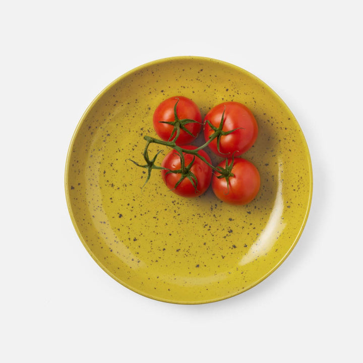 Marcus Chartreuse Salt Glaze Round Serving Platter Stoneware Small Pack/2