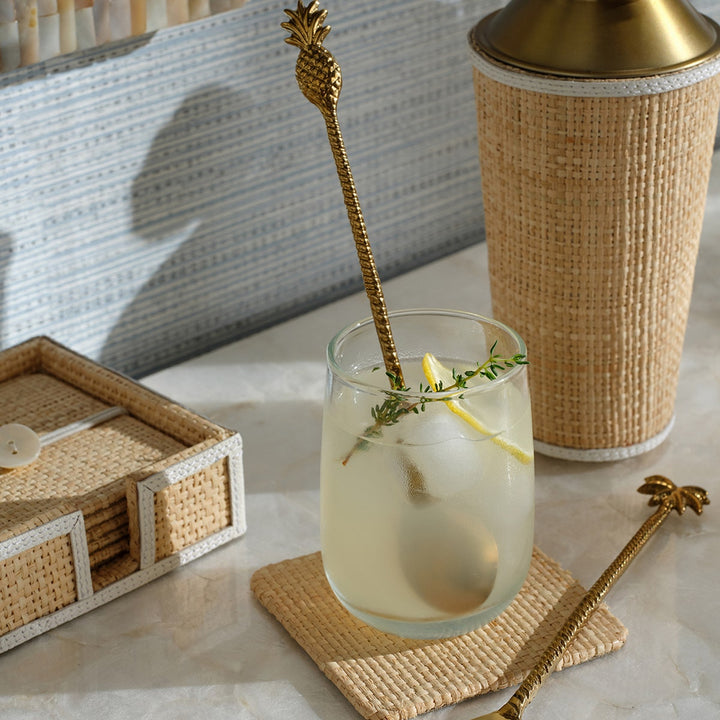 Gable Natural/White Coaster Set Of 6 Raffia/Leather