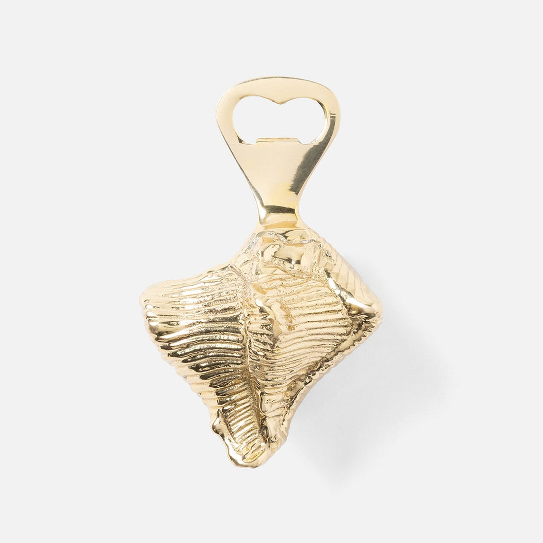 Talia Polished Gold Conch Shell Bottle Opener Brass Pack/3