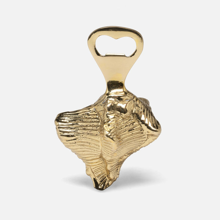 Talia Polished Gold Conch Shell Bottle Opener Brass Pack/3